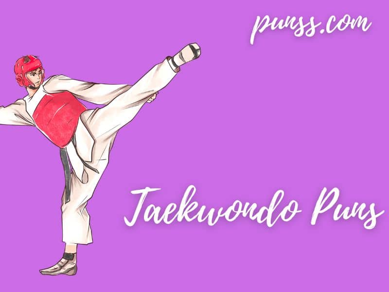 Taekwondo Puns