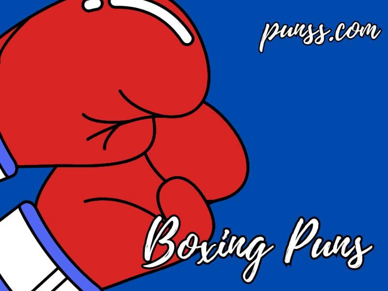 Funny Boxing Puns