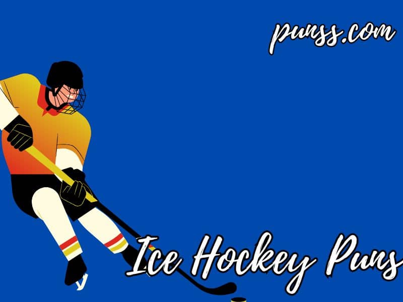 Funny Ice Hockey Puns