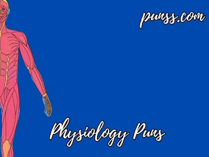 Funny Physiology Puns